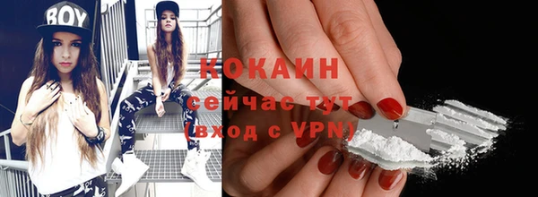 шишки Армянск