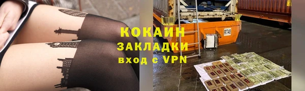 шишки Армянск