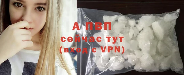 шишки Армянск