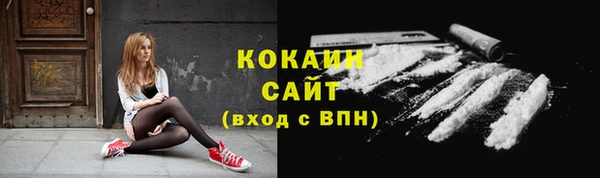 шишки Армянск