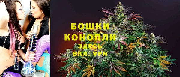 эйфоретик Арсеньев