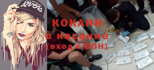 шишки Армянск
