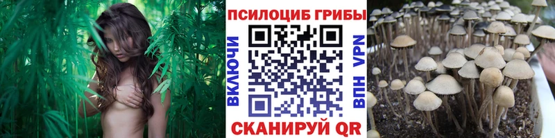 Галлюциногенные грибы GOLDEN TEACHER  мега ссылка  Дмитров  что такое  