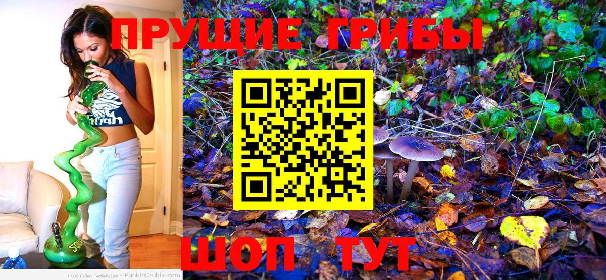 Дмитров  Галлюциногенные грибы мухоморы  Вход с VPN 